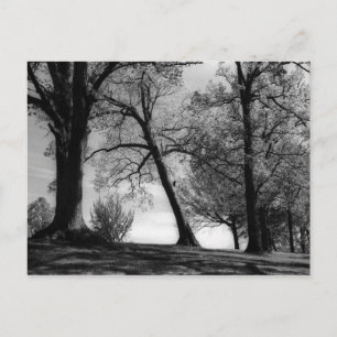 Cartão Postal Paisagem