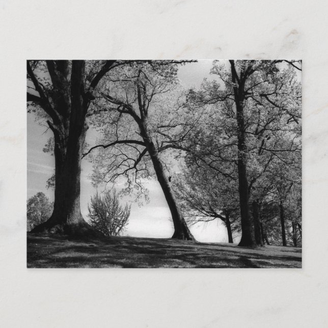 Cartão Postal Paisagem (Frente)