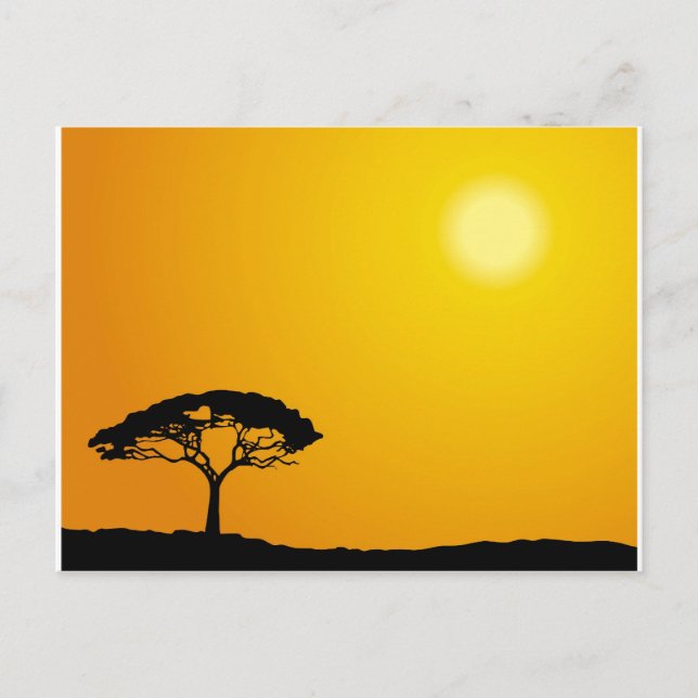 Cartão Postal Paisagem africana (Frente)