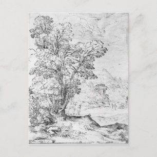 Cartão Postal Paisagem arborizada