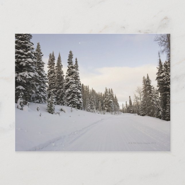 Cartão Postal Paisagem coberto de neve (Frente)