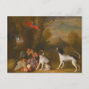Cartão Postal Paisagem com aves exóticas e dois cães