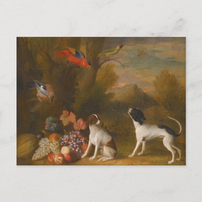 Cartão Postal Paisagem com aves exóticas e dois cães (Frente)