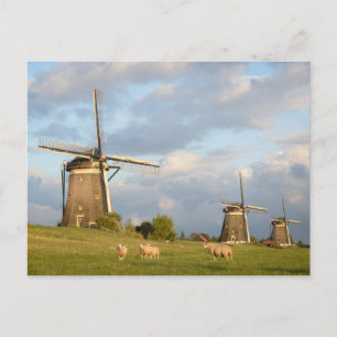 Cartão Postal Paisagem com moinhos de vento e ovelhas