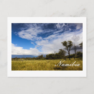 Cartão Postal Paisagem da África Namíbia Nature Bushveld