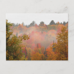 Cartão Postal Paisagem da Cena de Adirondacks no Campo de Outono