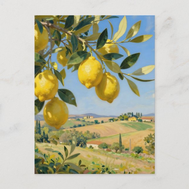 Cartão Postal Paisagem da Figueira de Limão da Toscana (Frente)
