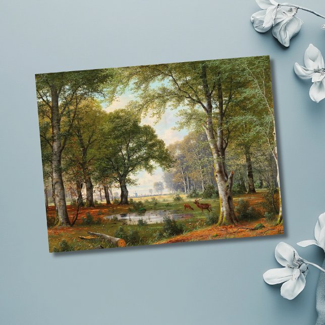 Cartão Postal Paisagem da Floresta da Noite (Criador carregado)