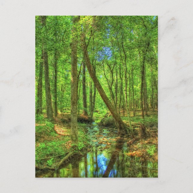 Cartão Postal Paisagem da Geórgia (Frente)