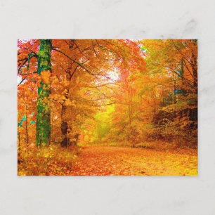 Cartão Postal Paisagem da natureza da multa do outono de Vermont