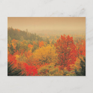Cartão Postal Paisagem da queda, New Hampshire, EUA