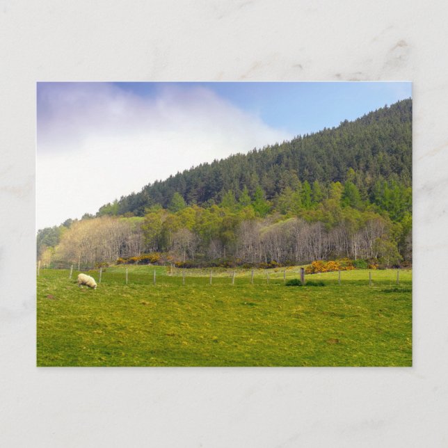 Cartão Postal Paisagem das Terras Altas da Escócia (Frente)