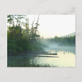 Cartão Postal Paisagem de Árvore Água Marsh