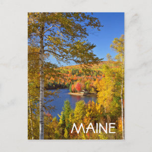 Cartão Postal Paisagem de árvore outonal, Maine