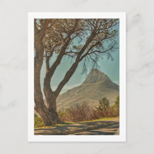 Cartão Postal Paisagem de Cabeça do Leão na África do Sul