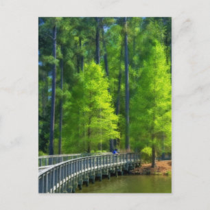 Cartão Postal Paisagem de Callaway