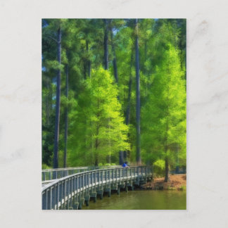 Cartão Postal Paisagem de Callaway