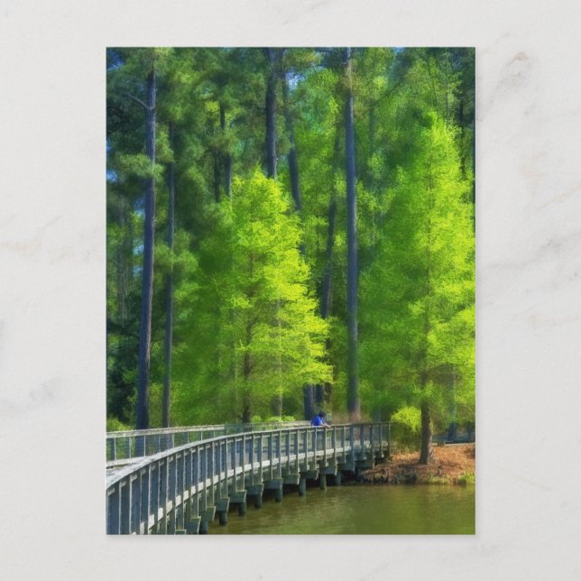 Cartão Postal Paisagem de Callaway (Frente)