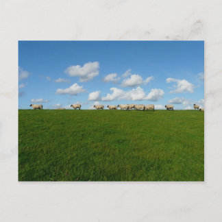 Cartão Postal Paisagem de campo