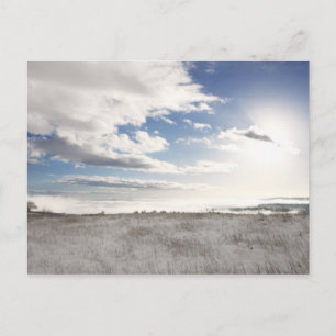 Cartão Postal paisagem de campo coberto de neve