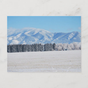 Cartão Postal Paisagem de Inverno de Árvores, Neve e Montanhas
