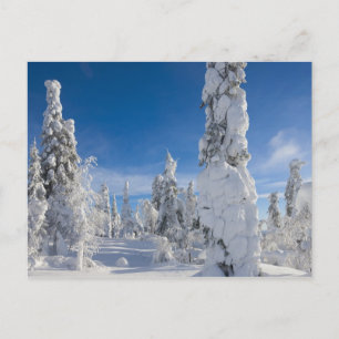 Cartão Postal Paisagem de inverno em Lappland