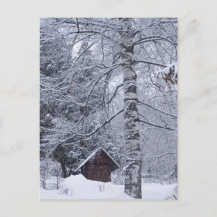 Cartão Postal paisagem de neve