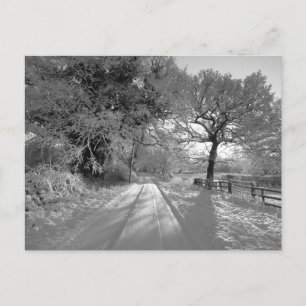 Cartão Postal Paisagem de Neve: Cheshire