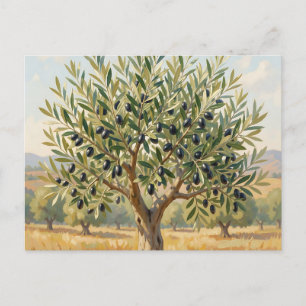 Cartão Postal Paisagem de Oliveiras Mediterrâneas