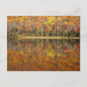 Cartão Postal Paisagem de outono com lago, Vermont, EUA
