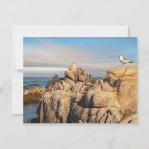 Cartão Postal Paisagem de paisagem pacífica na Califórnia