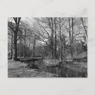 Cartão Postal Paisagem de Parque - Parque de Bute, Cardiff