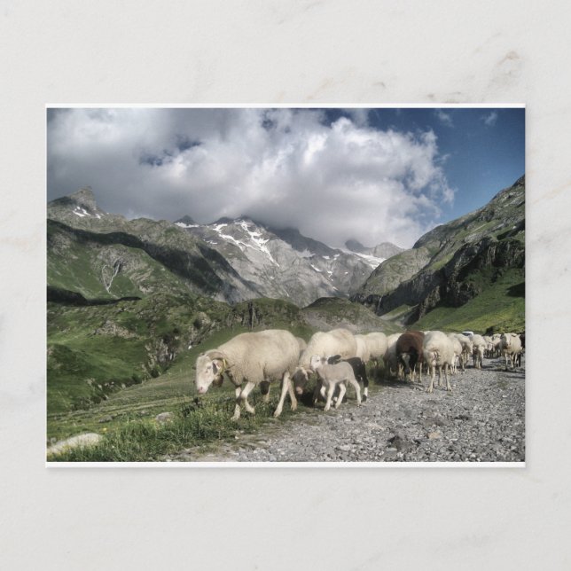 Cartão Postal paisagem de pirenéus (Frente)