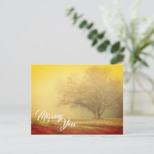 Cartão Postal Paisagem de Saudade