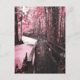 Cartão Postal paisagem de sonho de pântano