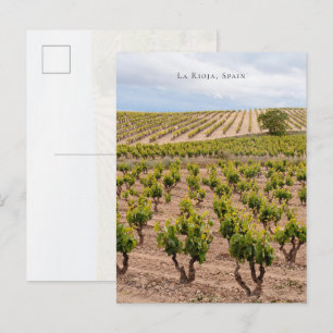 Cartão Postal Paisagem de Vinhedo de La Rioja, Espanha
