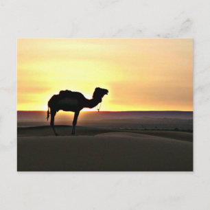 Cartão Postal Paisagem do Deserto com Camel