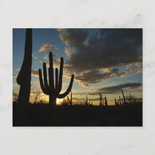 Cartão Postal Paisagem do Deserto de Arizona Saguaro Sunset II