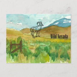 Cartão Postal Paisagem do Deserto de Ovinos Selvagens de Nevada