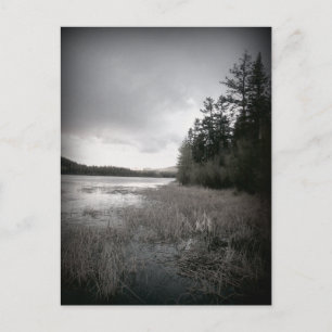 Cartão Postal Paisagem do Lago B&W