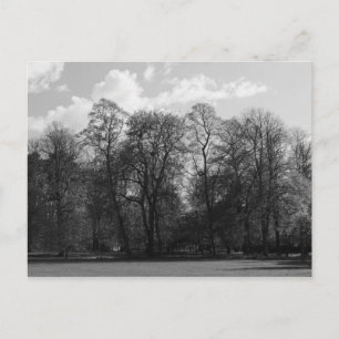 Cartão Postal Paisagem do Parque, Bute Park, Cardiff, País de Ga