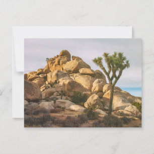 Cartão Postal Paisagem do Parque Nacional de Joshua Trees
