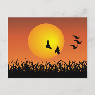 Cartão Postal Paisagem do Sol com Patos de Pássaros Voadores
