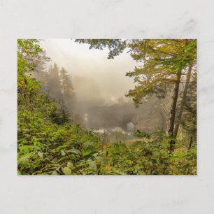 Cartão Postal Paisagem Florestal e Oceânica
