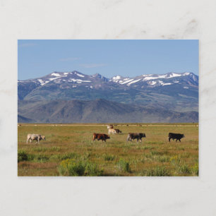 Cartão Postal Paisagem HWY 395 da Califórnia