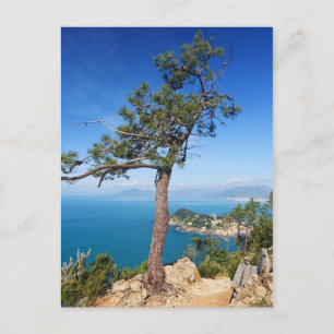 Cartão Postal Paisagem mediterrânica - Sestri Levante