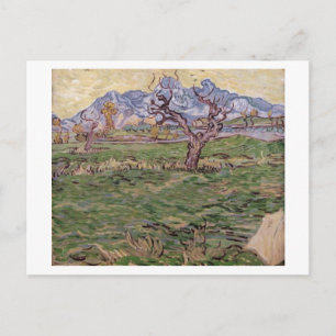 Cartão Postal Paisagem Montanhas de Árvores Olivais, Van Gogh Fi