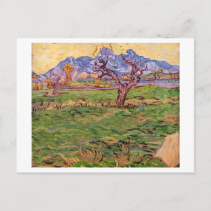 Cartão Postal Paisagem Montanhas de Árvores Olivais, Van Gogh Fi