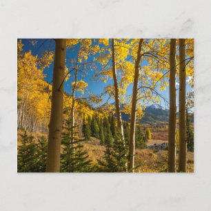 Cartão Postal Paisagem nas Montanhas de San Juan