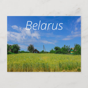 Cartão Postal Paisagem natural Campo de Caça Rural na Bielorrúss